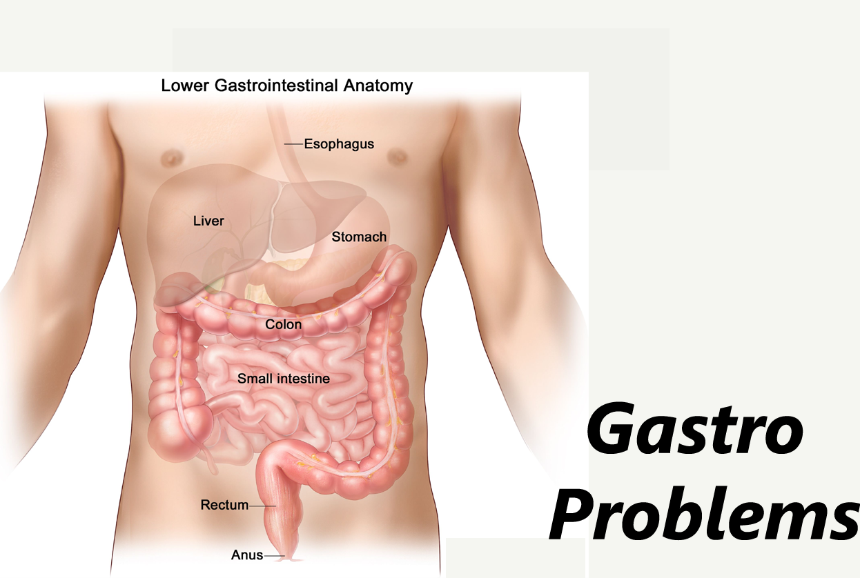 Gut problems