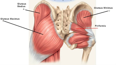 Piriformis Syndrome Treatment